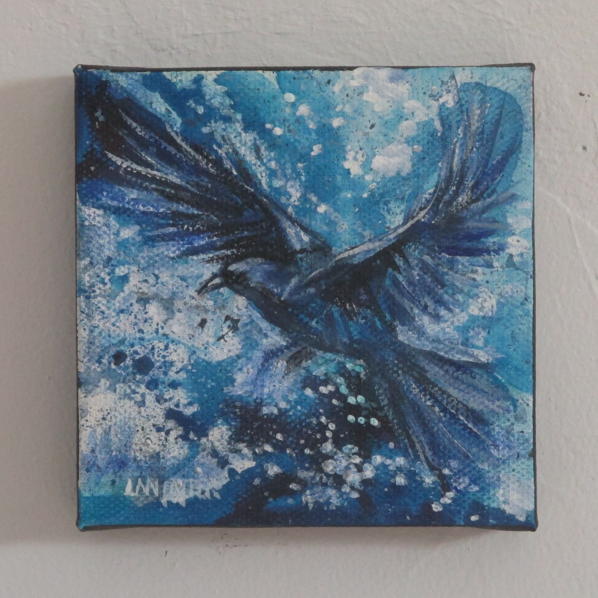Caw 8