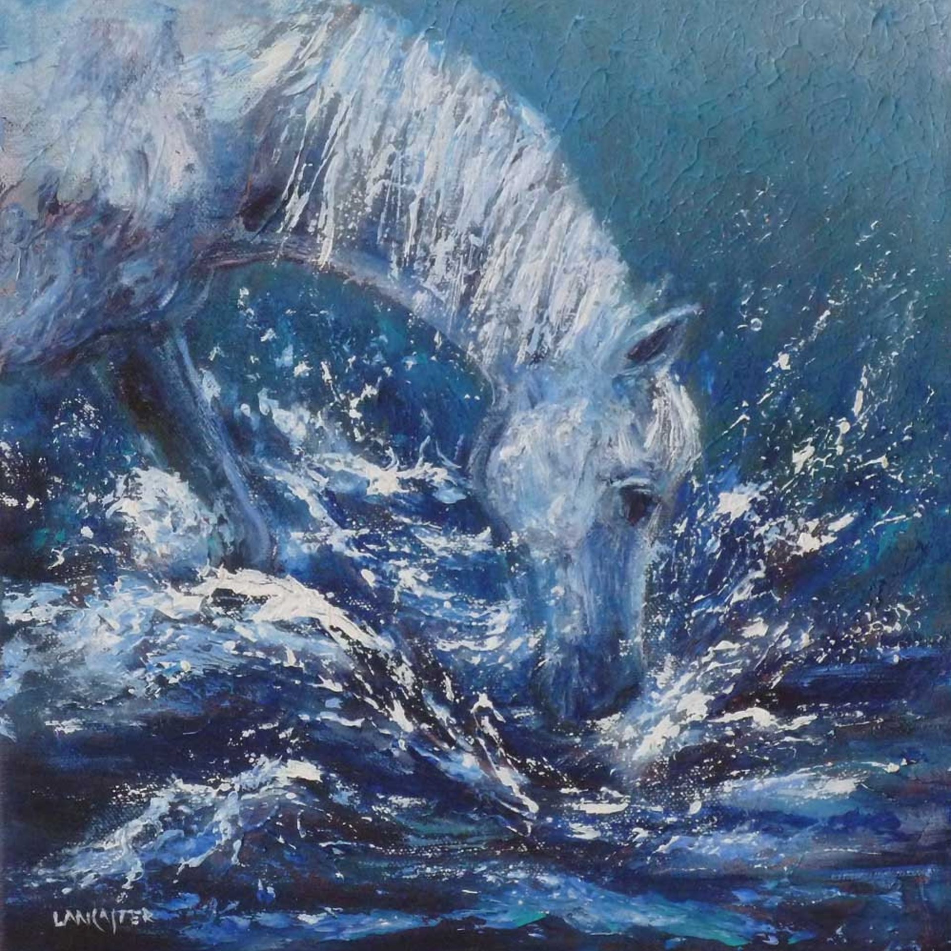 Splash