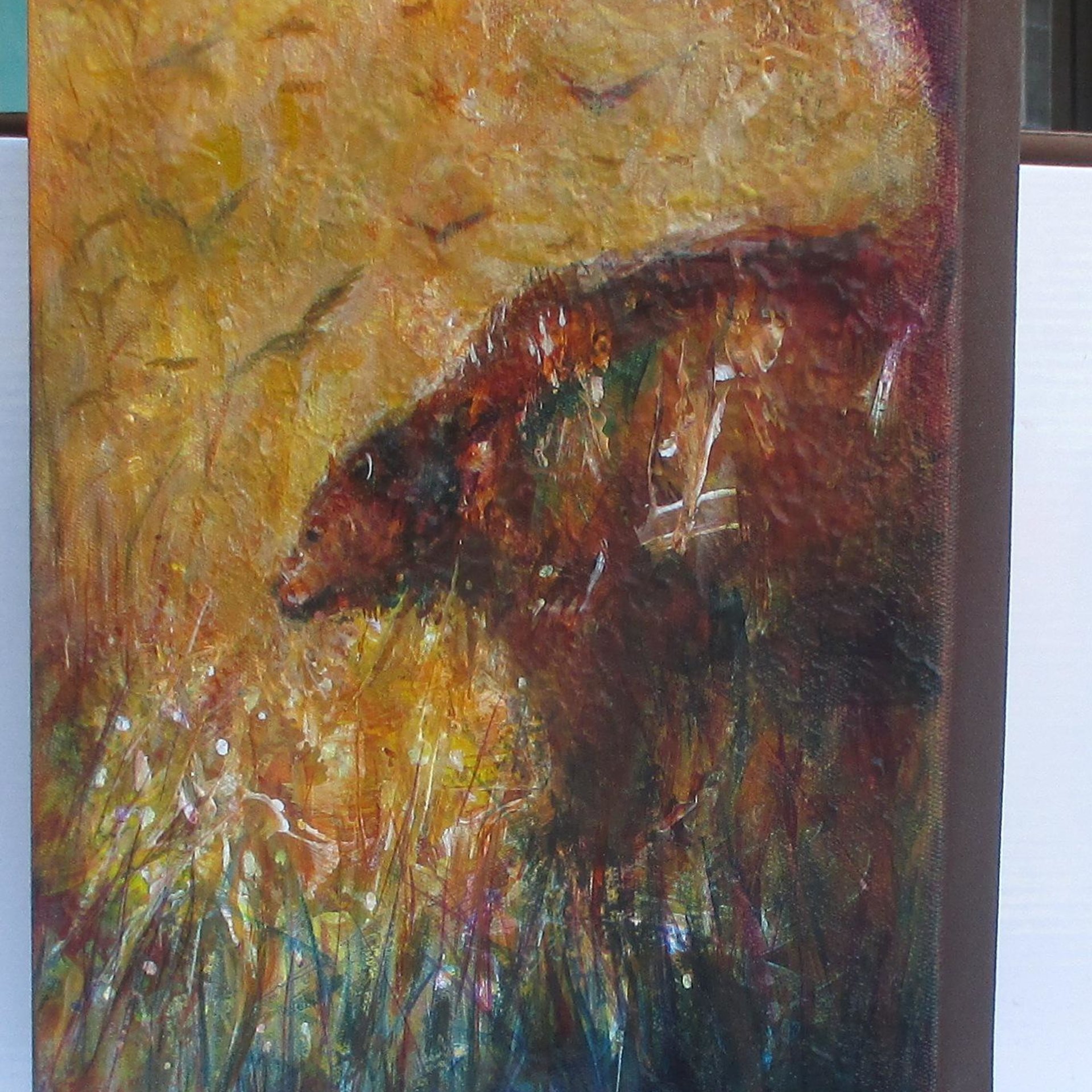 Harvest Moon Bear 