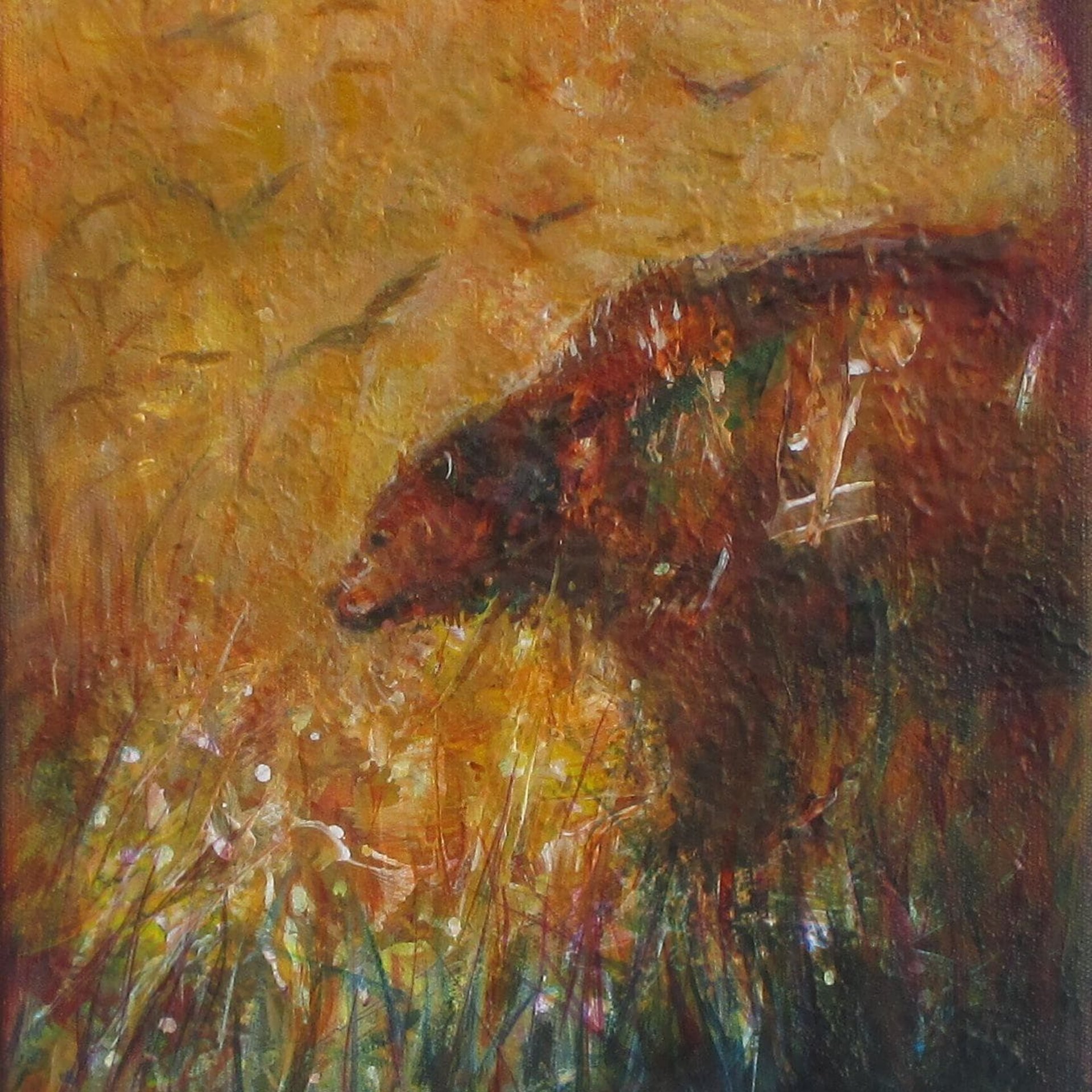 Harvest Moon Bear 