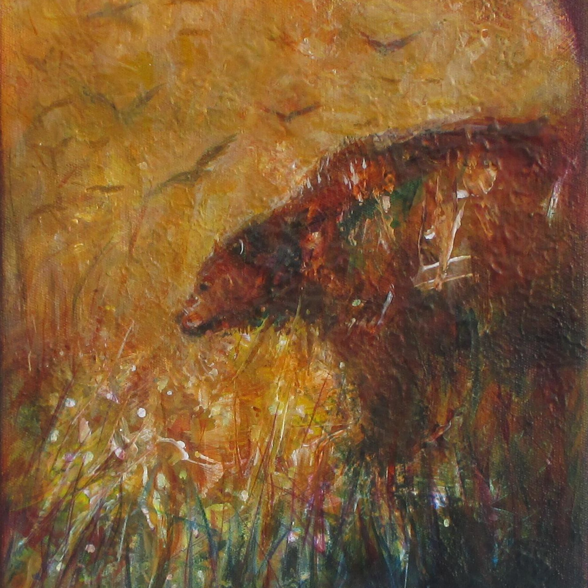 Harvest Moon Bear 