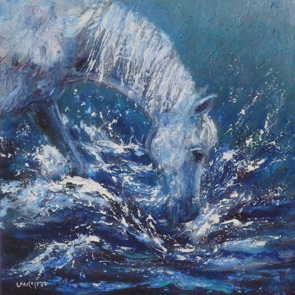 Splash